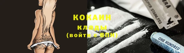 гашик Майский