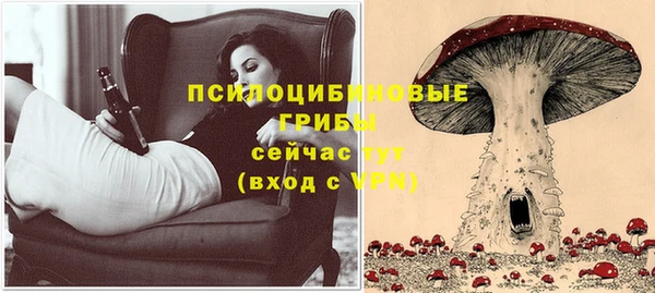 винт Магас