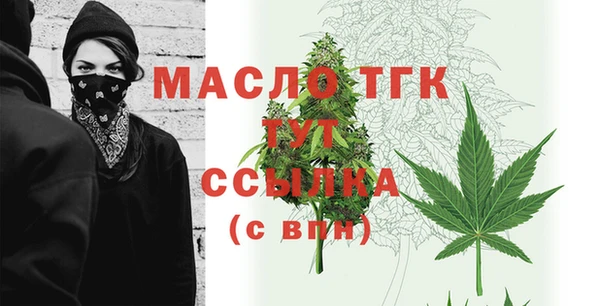 гашик Майский