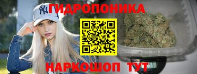a pvp Кандалакша