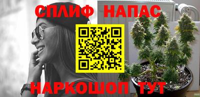 меф Камышлов
