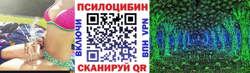 Псилоцибиновые грибы мицелий продажа наркотиков Ртищево