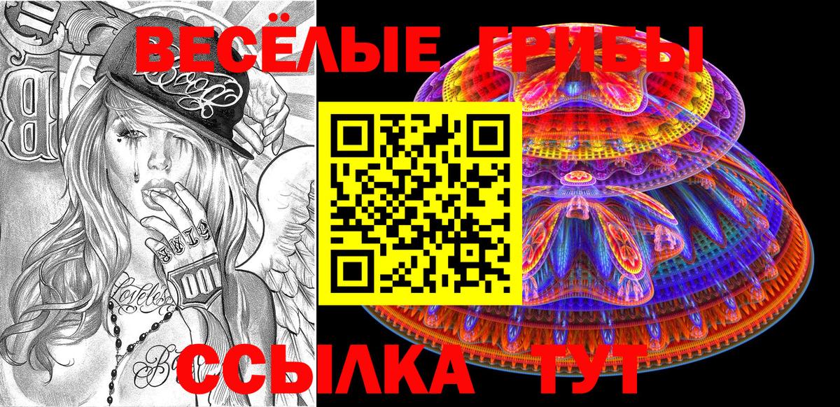 Псилоцибиновые грибы Psilocybe  Ртищево 