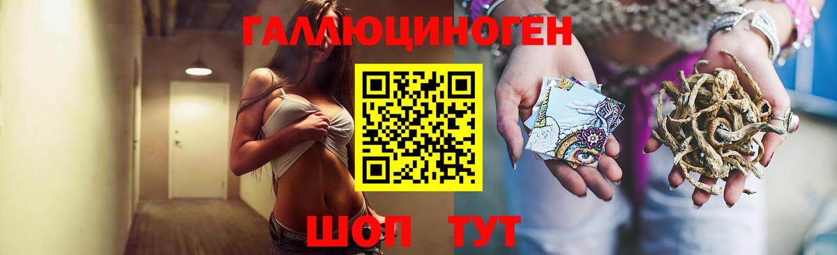Псилоцибиновые грибы мицелий Ртищево
